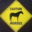 caution horses