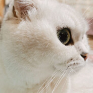 想吃什么地上找