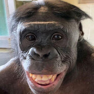 MAKAKO 2.0 ɢᴅʟᴄ