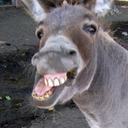 водка пиво молоко