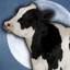 MOON COW