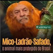 MATADOR DE PETISTA
