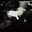 mysterae