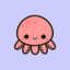 Cute octopus 🤍