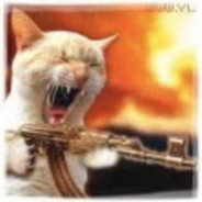 温柔的长脖鹿L&R