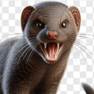 Mongoose