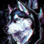 husky9319