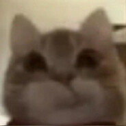 shimon - steam id 76561198059320711