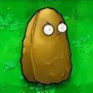 我真的是个高建国