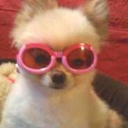 .'s Steam Avatar