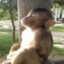 biseks