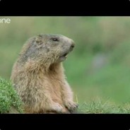 Fr1tz0
