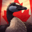 The Canadian Goose