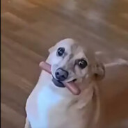 Bigboysambo