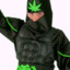 THC NINJA