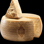 Grana Padano Steam avatar