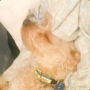 Acsd(해킹계정되찾음)