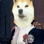 NaPoLeOn DoGeApArT