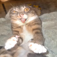 Avatar of Petunijaᵛᵃᶜ