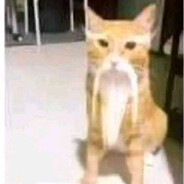 minacious - steam id 76561198415156060