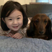 风味茄子多加茄子