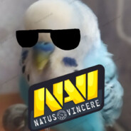 Navi | parrot