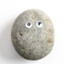 Jims Pet Rock!