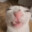 pip