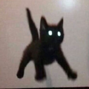 阿尔卑斯皮卡丘