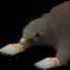 Falador Mole