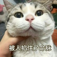 叶迅之只想睡觉