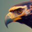 KarateHawk
