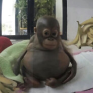 данил колбасенко