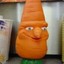 Capital Carrot