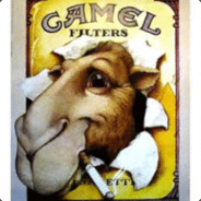 Camel (BOT)