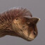 DR_Carno