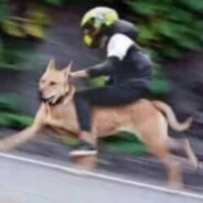 我们一定要收复台湾