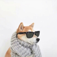 广东蟑螂真的会飞