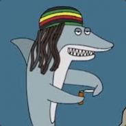 Reggae Shark