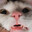 mwnci's Avatar