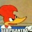filipiN