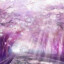 梦追星忆