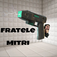 Fratele Mitri