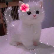 ☆𝕍𝕖𝕥𝕖ℝ𝕌ℕ☆