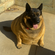 ☯️MORFFFFFFFFF☯ - steam id 76561199051977297