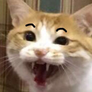 翻斗花园二号楼壮壮妈