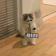 璃宮莎曉