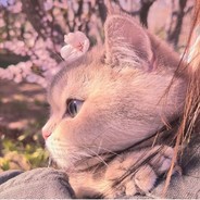 我们什么时候去看海