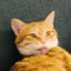 FrankQwQ