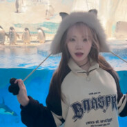 超级无敌勤快蛋